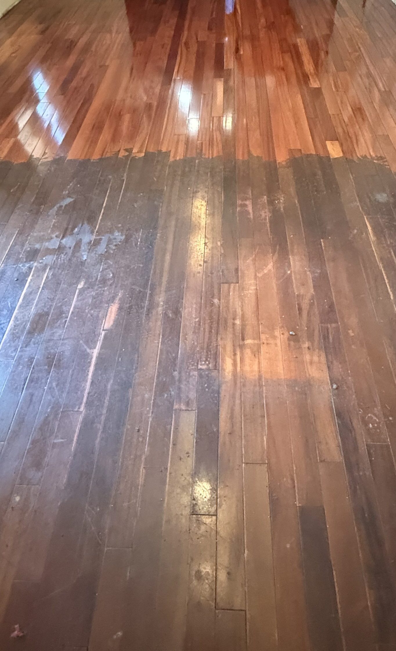 Floor Wax Removal Services